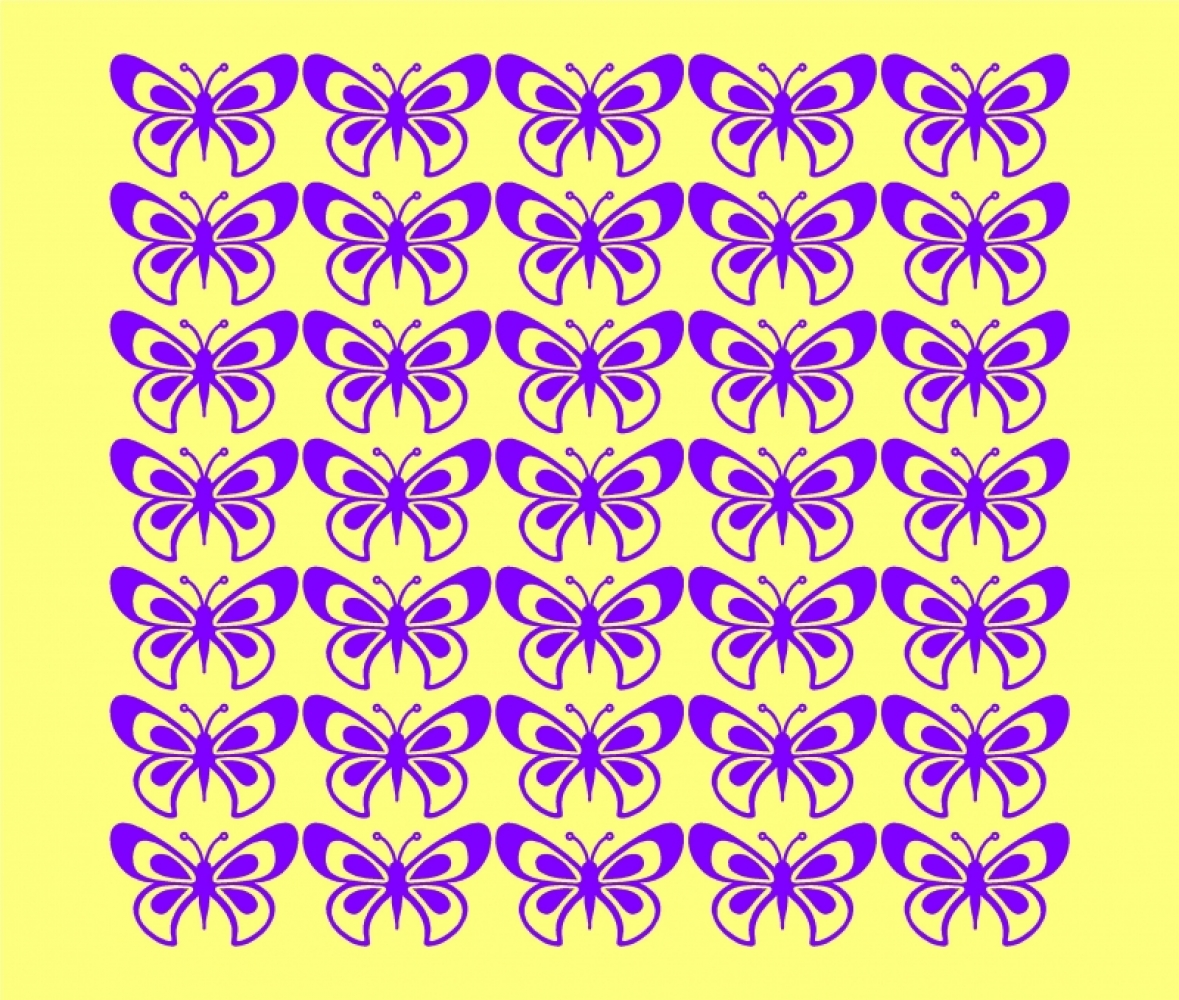 Fluturasi la metru patrat