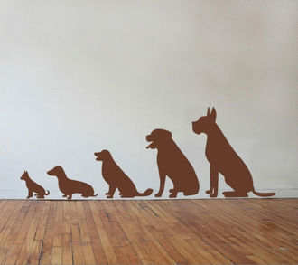 Sticker decorativ evolutia cainelui