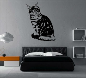 Sticker pisica cu dungi