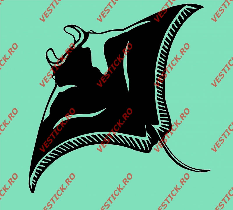 Sticker pisica de mare